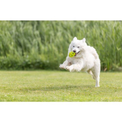 Honeycomb Rugby, prodyšný rygby míč, 11 cm, TPR, limetková