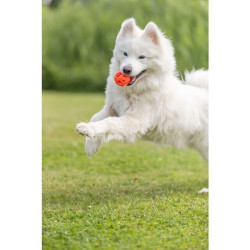 Honeycomb Ball, prodyšný míček, 6 cm, TPR, oranžová