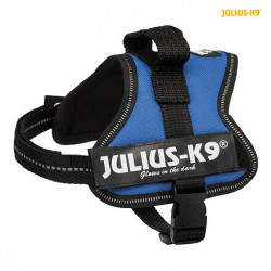Julius-K9 silový postroj Mini-Mini/S 40-53 cm, - modrá