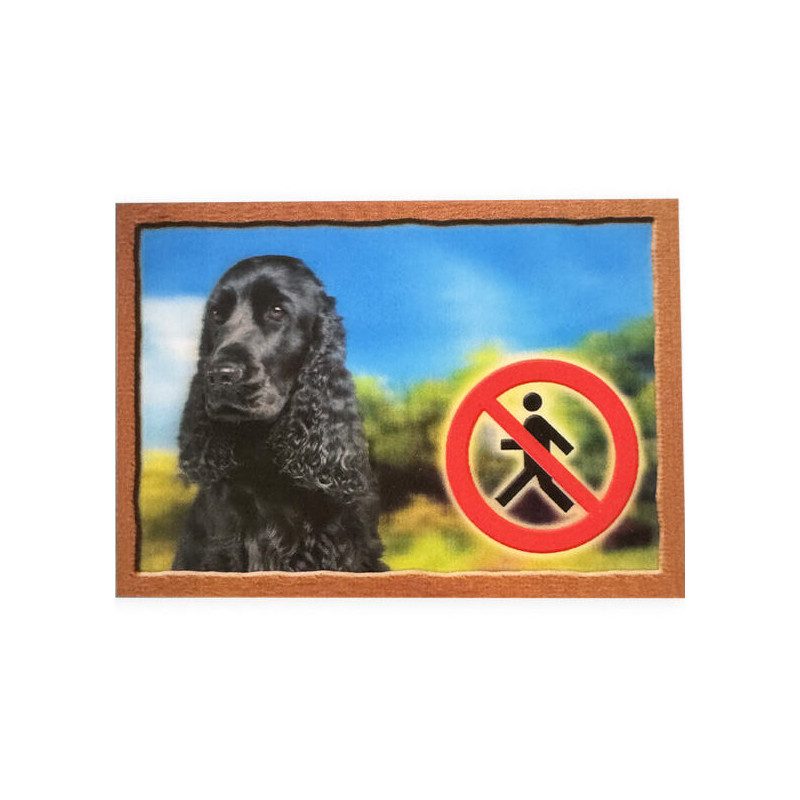 Cedulka 3D PSI, Anglický kokršpaněl černý