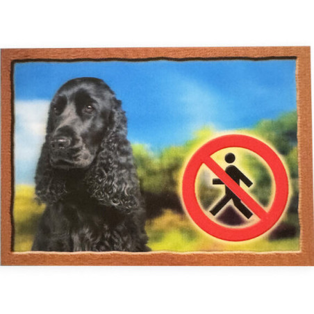 Cedulka 3D PSI, Anglický kokršpaněl černý