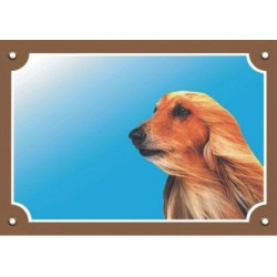 Barevná cedulka Pozor pes, Afghánský chrt