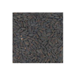 Slunečnice černá 800g