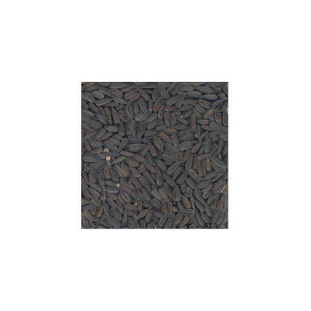 Slunečnice černá 800g