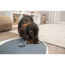 Automatické krmítko TX5, 5x240ml/ 33x5x36cm, bílá/šedá (RP 2,90 Kč)