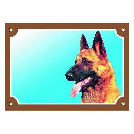 Barevná cedulka Pozor pes, Belgický ovčák