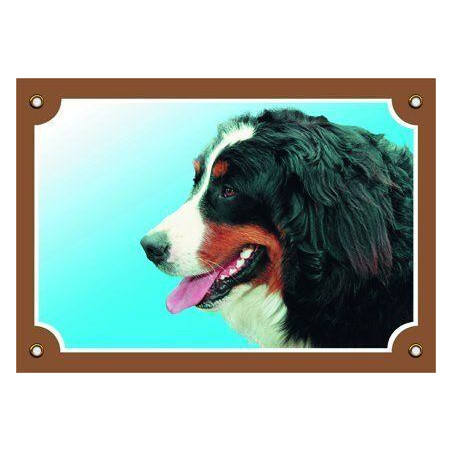 Barevná cedulka Pozor pes, Bernský salašnický pes