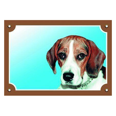 Barevná cedulka Pozor pes, Beagle