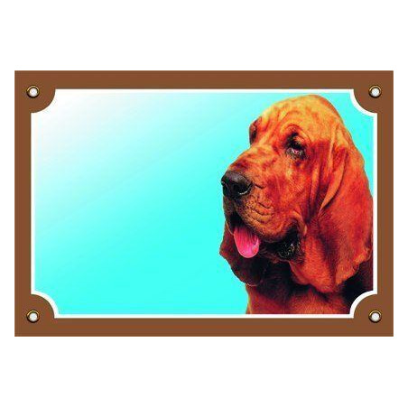 Barevná cedulka Pozor pes, Bladhaund