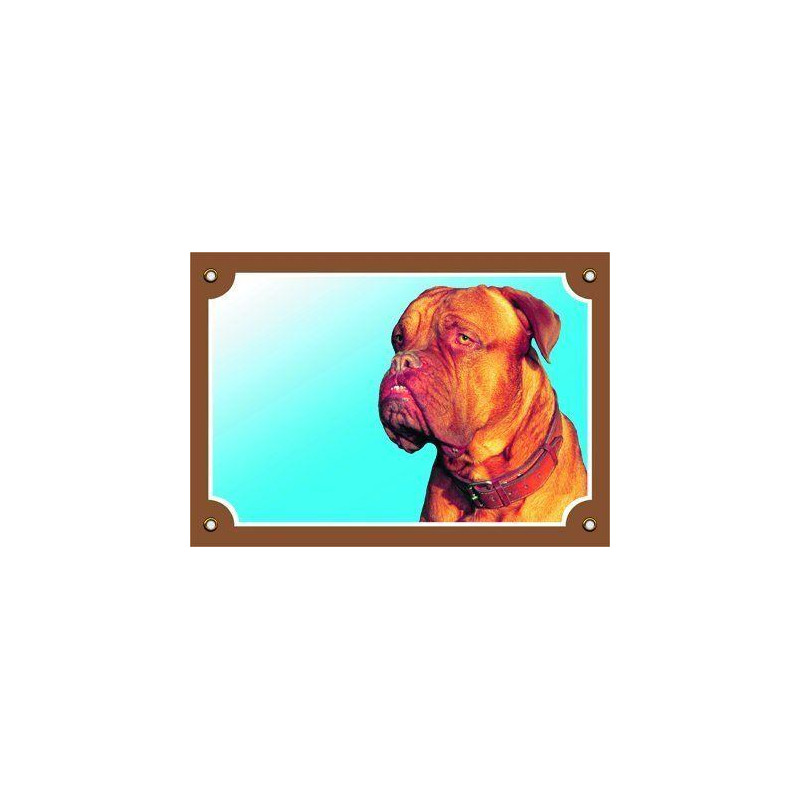 Barevná cedulka Pozor pes, Bordeauxská doga