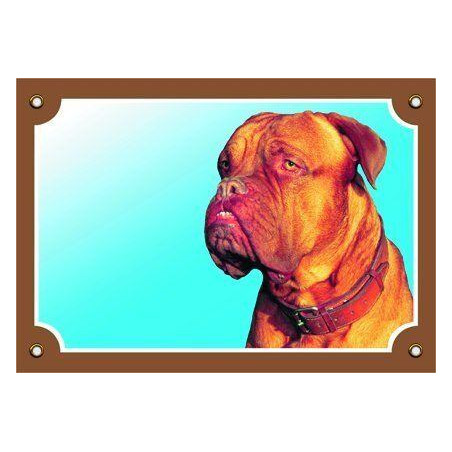 Barevná cedulka Pozor pes, Bordeauxská doga