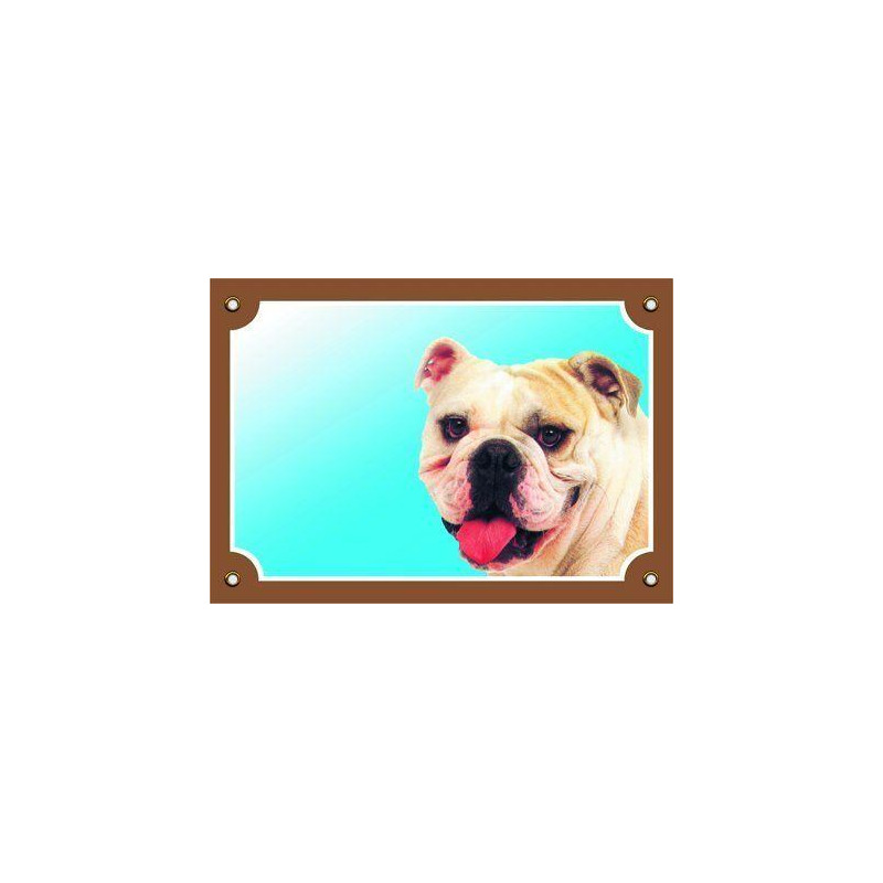 Barevná cedulka Pozor pes, Buldog anglický