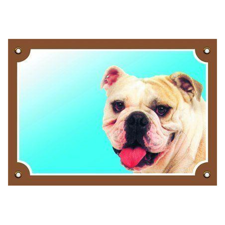 Barevná cedulka Pozor pes, Buldog anglický