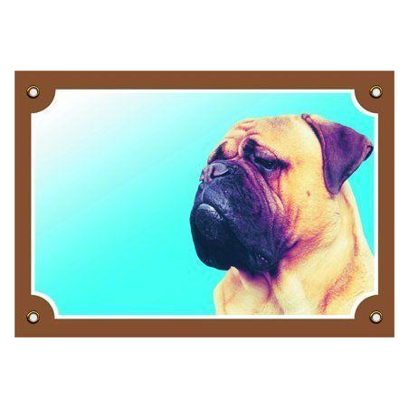 Barevná cedulka Pozor pes, Bullmastif