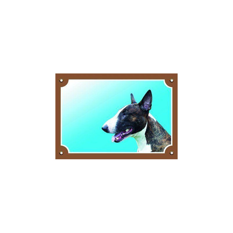 Barevná cedulka Pozor pes, Bullterier pes