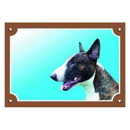 Barevná cedulka Pozor pes, Bullterier pes