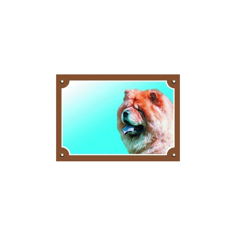 Barevná cedulka Pozor pes, Čau čau