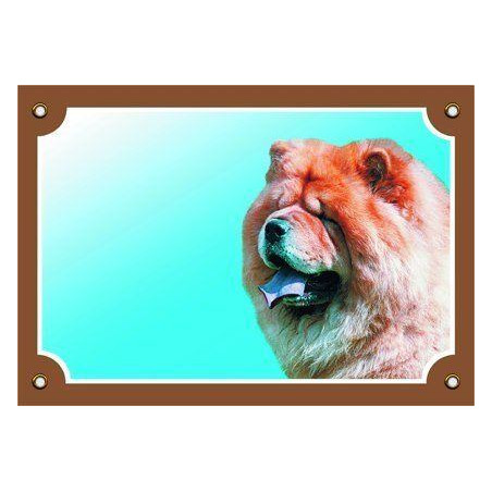 Barevná cedulka Pozor pes, Čau čau