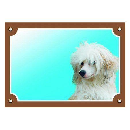 Barevná cedulka Pozor pes, Čínský chocholatý pes