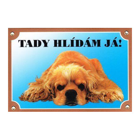 Barevná cedulka Pozor pes, Americký kokr ležící