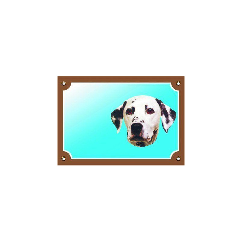 Barevná cedulka Pozor pes, Dalmatin