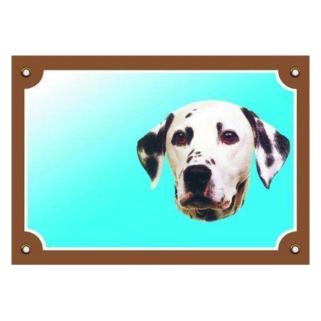 Barevná cedulka Pozor pes, Dalmatin