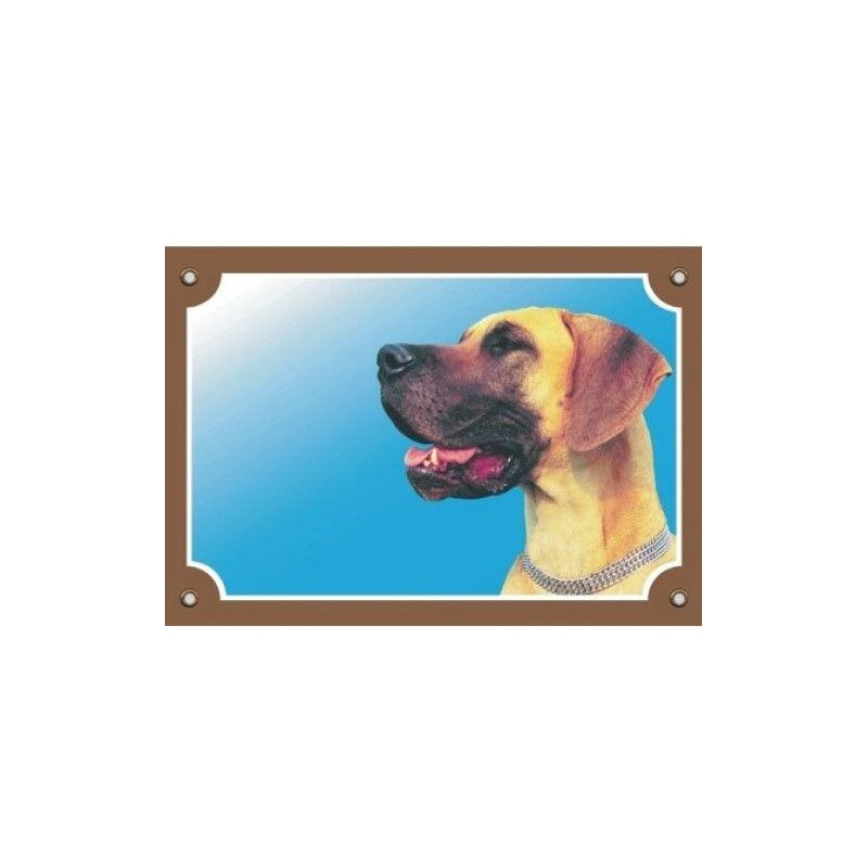 Barevná cedulka Pozor pes, Doga žlutá