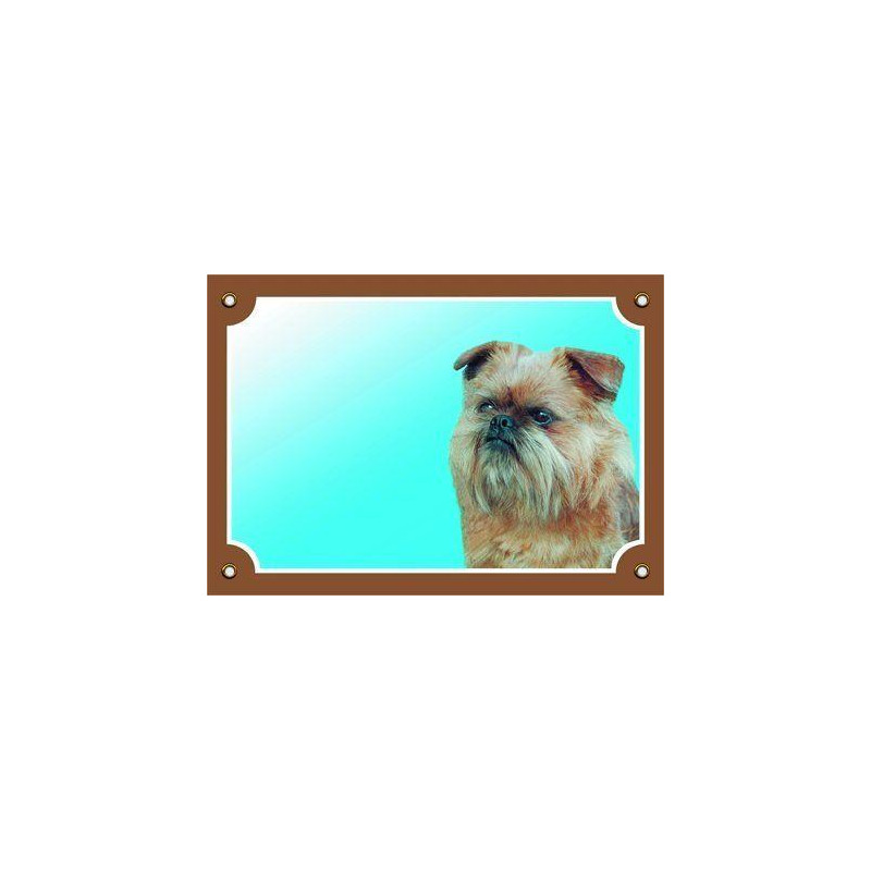 Barevná cedulka Pozor pes, Grifonek bruselský