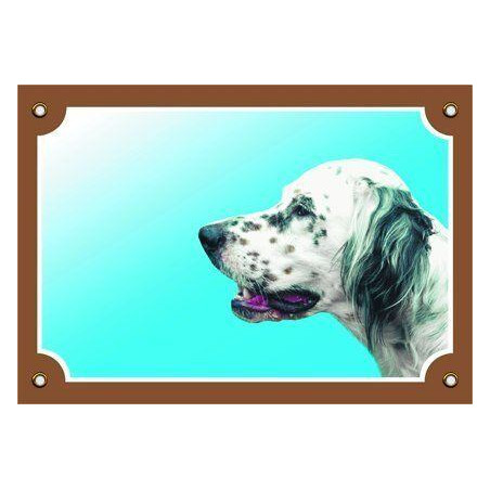 Barevná cedulka Pozor pes, Anglický setr bílý