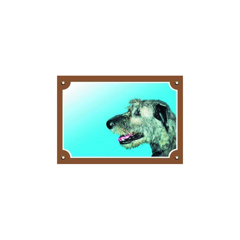 Barevná cedulka Pozor pes, Irský vlkodav