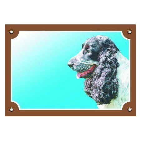 Barevná cedulka Pozor pes, Anglický kokr čb