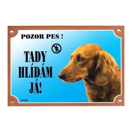 Barevná cedulka Pozor pes, Jezevčík dlouhosrstý