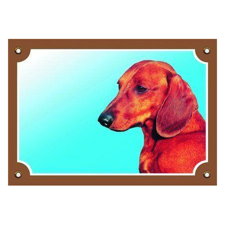 Barevná cedulka Pozor pes, Jezevčík hladkosrstý