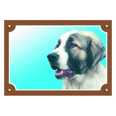 Barevná cedulka Pozor pes, Kavkazský ovčák