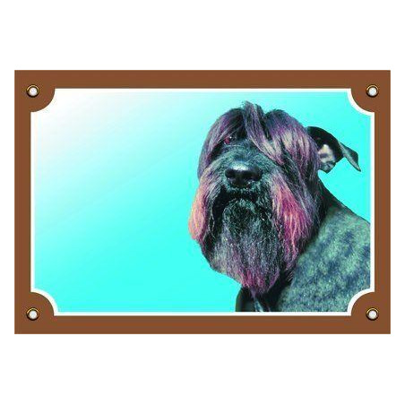 Barevná cedulka Pozor pes, Knírač černý