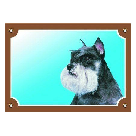 Barevná cedulka Pozor pes, Knírač pepř a sůl