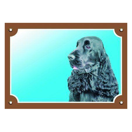 Barevná cedulka Pozor pes, Anglický kokr černý