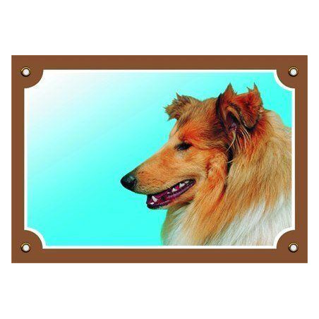 Barevná cedulka Pozor pes, Kolie