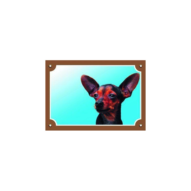 Barevná cedulka Pozor pes, Krysařík