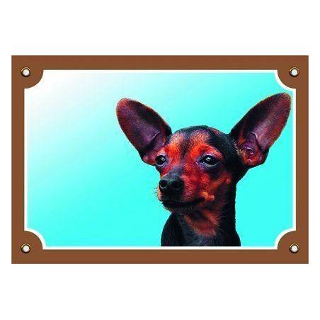 Barevná cedulka Pozor pes, Krysařík