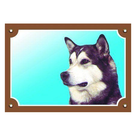 Barevná cedulka Pozor pes, Malamut