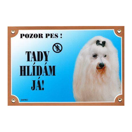 Barevná cedulka Pozor pes, Maltézský pinč