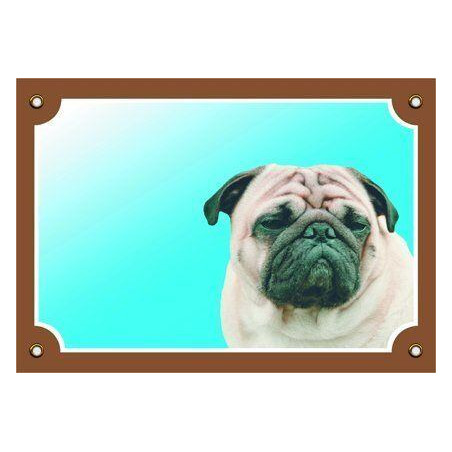 Barevná cedulka Pozor pes, Mops