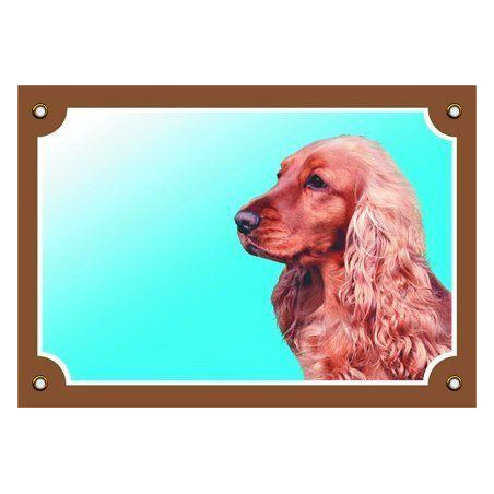 Barevná cedulka Pozor pes, Anglický kokr zlatý