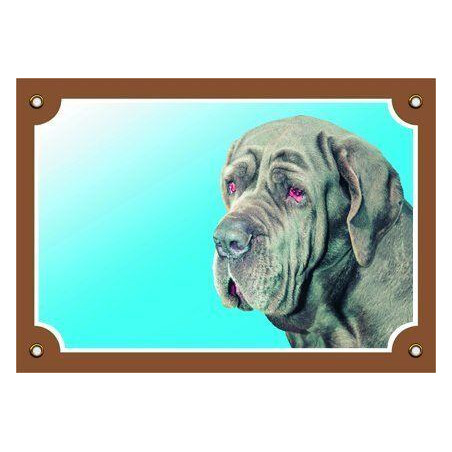 Barevná cedulka Pozor pes, Neapolský mastin