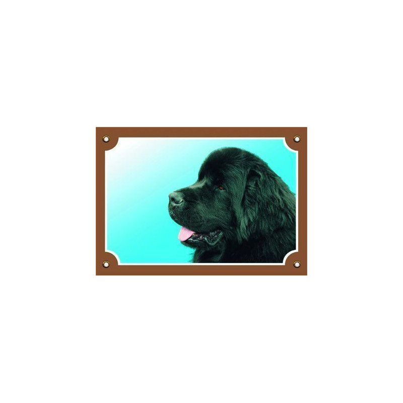 Barevná cedulka Pozor pes, Novofundlanský pes černý