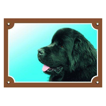 Barevná cedulka Pozor pes, Novofundlanský pes černý