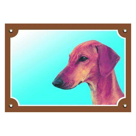 Barevná cedulka Pozor pes, Azavak