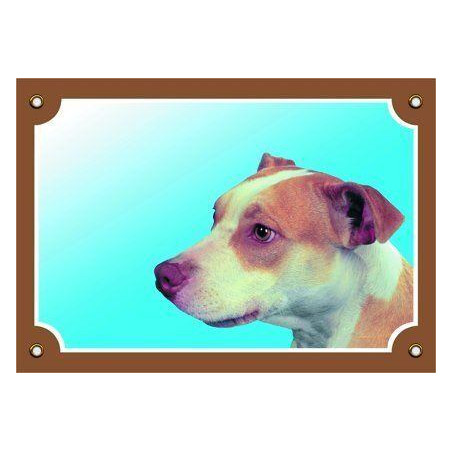 Barevná cedulka Pozor pes, Pitbullterier