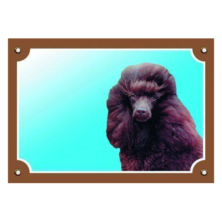 Barevná cedulka Pozor pes, Pudl hnědý